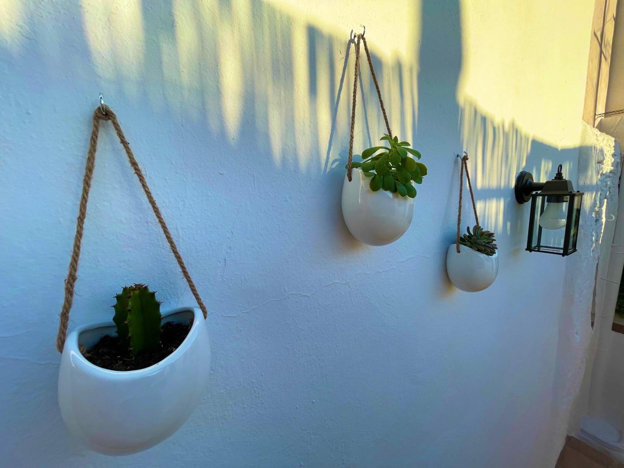 Apartment Casa Mua